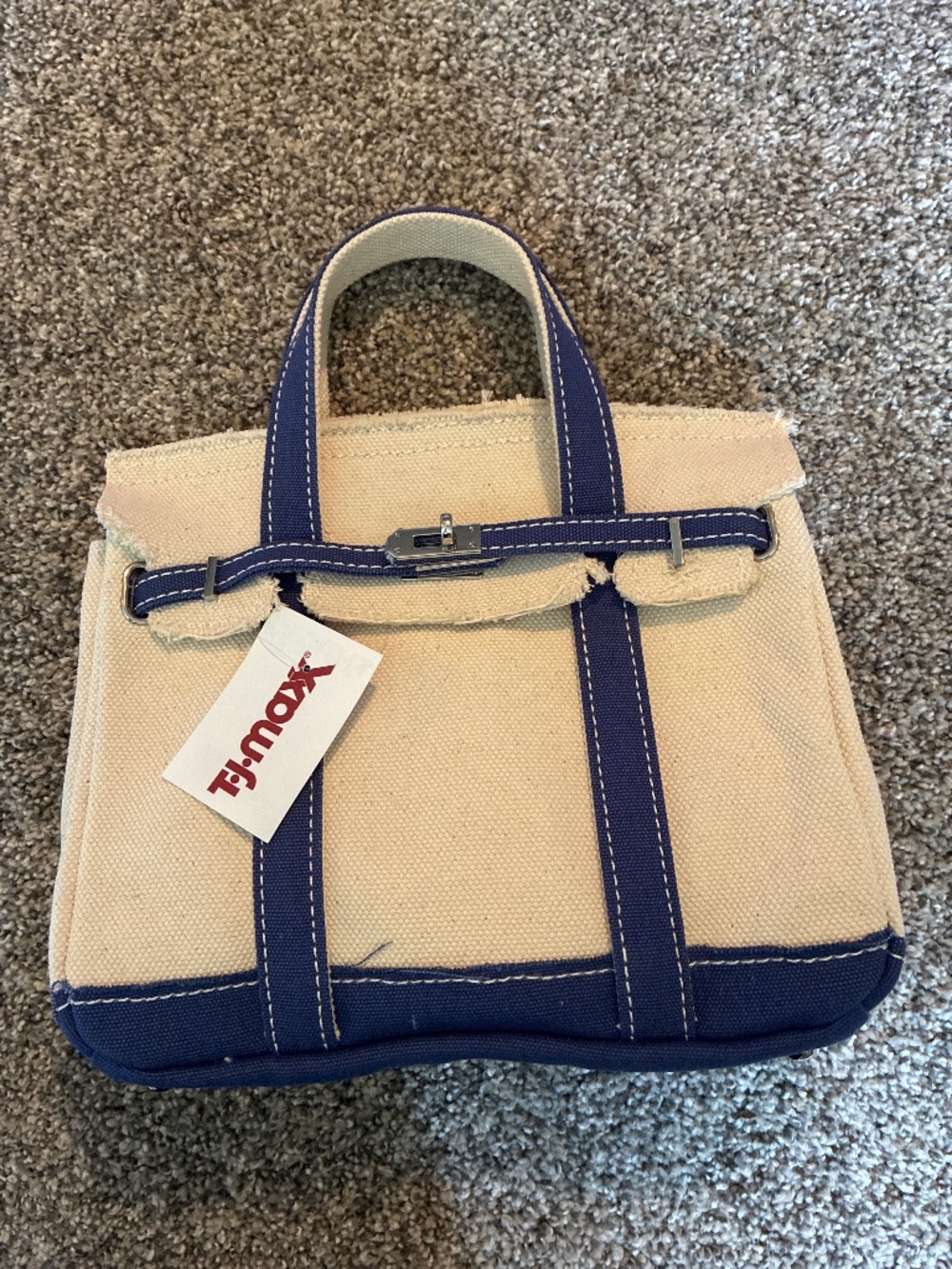 Blue Viral TikTok TJ Maxx Bag